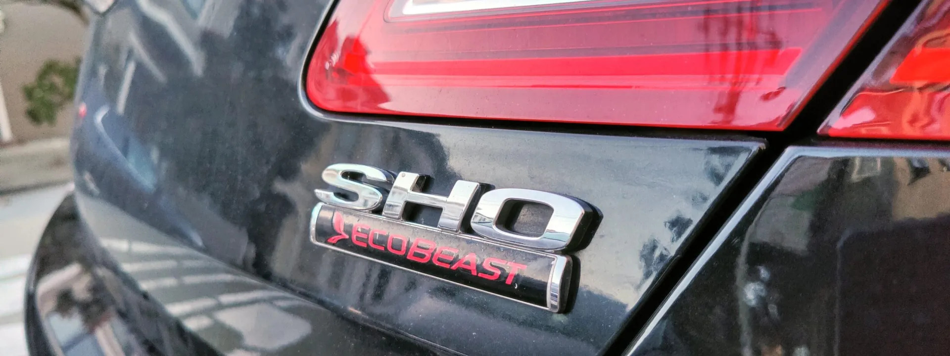 Taurus SHO