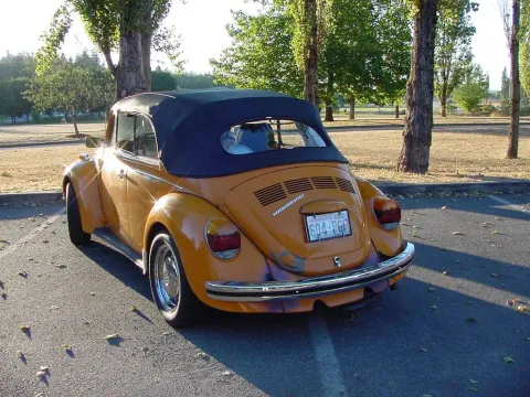 mvc-437f