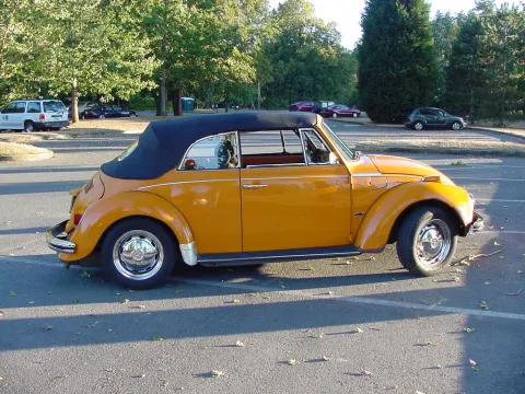 mvc-439f