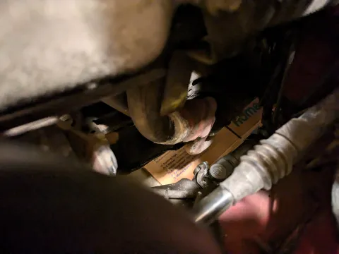 pxl_20241124_041552459